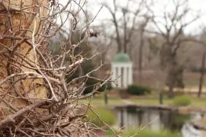 Image of a park in Tulsa, Oklahoma