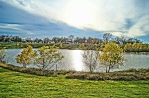 Image of Arthur Park in Houston, TX on a sunny day