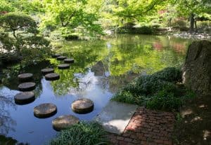 Image of a garden in Fort Worth, TX