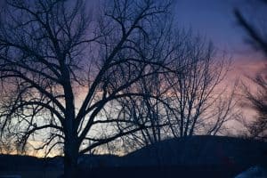 Image of the sun setting behind some trees in North Dakota