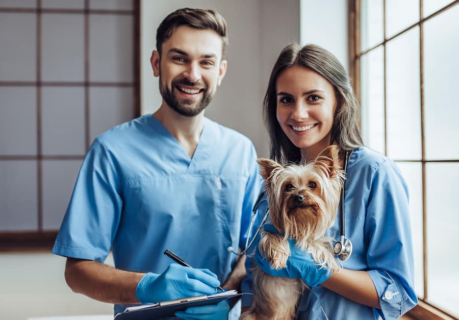 veterinary practice