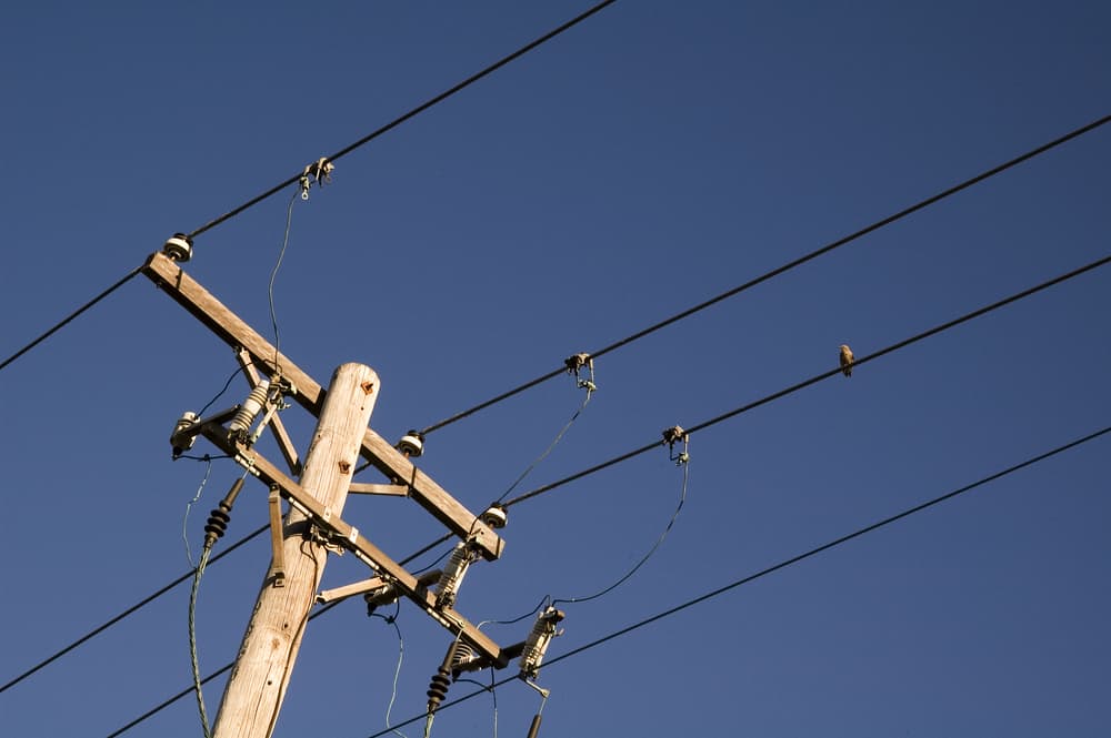 Image of electrical lines managed by an electrical provider