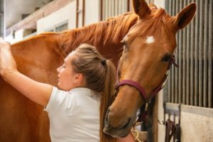 equine veterinarian petting a horse